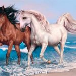 Sestavljanka Živali – Konji