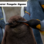 Sestavljanka cesarskega pingvina