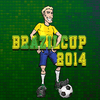 Brazilski pokal 2014