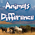 Razlike živali