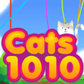 Mačke 1010
