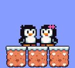 Pingvinova ljubezenska uganka